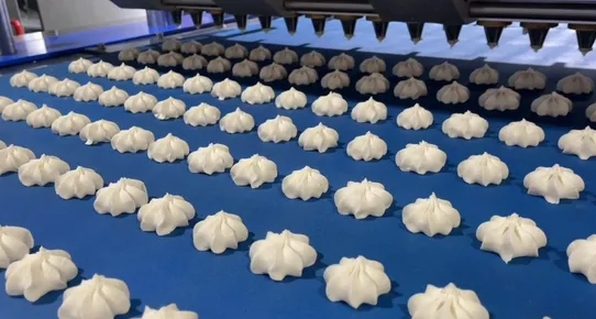 M&aacute;quina de galletas formadora de galletas con barra de fecha de llenado de dos colores Skywin