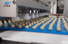 M&aacute;quina de galletas formadora de galletas con barra de fecha de llenado de dos colores Skywin